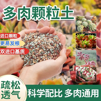 多肉土专用营养土颗粒土肉肉植物铺面石纯颗粒土土壤种植泥土花土