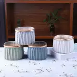 Сочные керамические цветочные горшки с большим калибром.