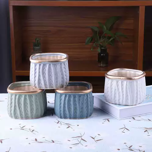 Сочные керамические цветочные горшки с большим калибром.