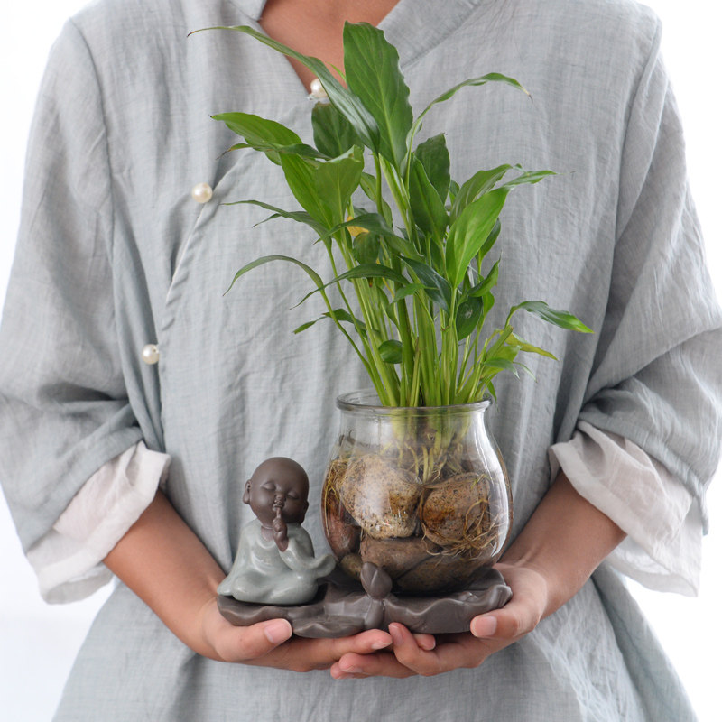 水养绿萝陶瓷花盆玻璃花瓶和尚禅意摆件白掌富贵竹铜钱草水培容器