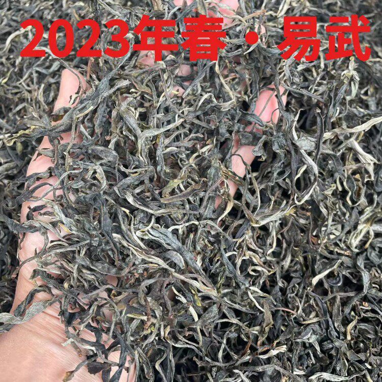 2023年春易武明前春茶普洱茶生茶散茶散装生普500g包邮