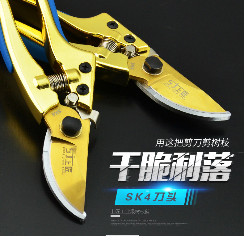 上匠园艺剪 花枝剪刀 修剪果树剪子 粗枝剪果修枝剪园林剪 树枝剪,五金/工具,园艺剪,淘宝优惠券,粉丝福利购,淘宝优惠卷