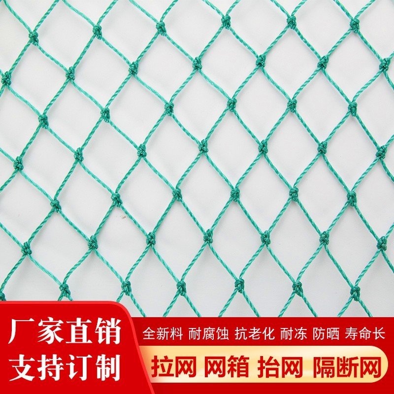 养殖网家禽使用渔网网箱防鸟网养鸡网爬藤网