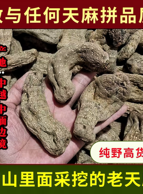 正宗深山里面的老天麻特级正品