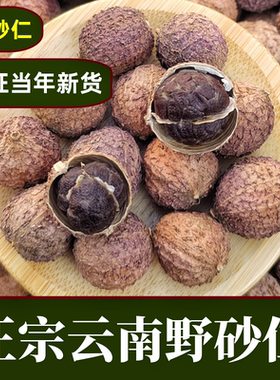 云南野砂仁：春砂仁中药材干果正宗阳春特产养胃沙仁