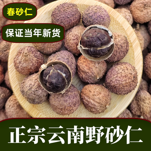 正宗春砂仁干果中药材养胃