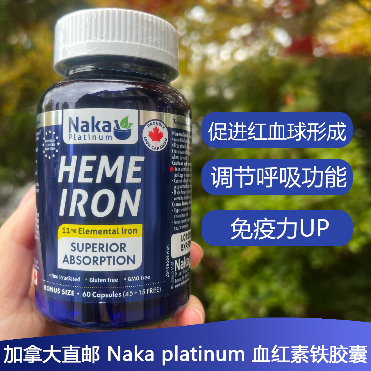 Nakaplatinum血红素铁补铁补血