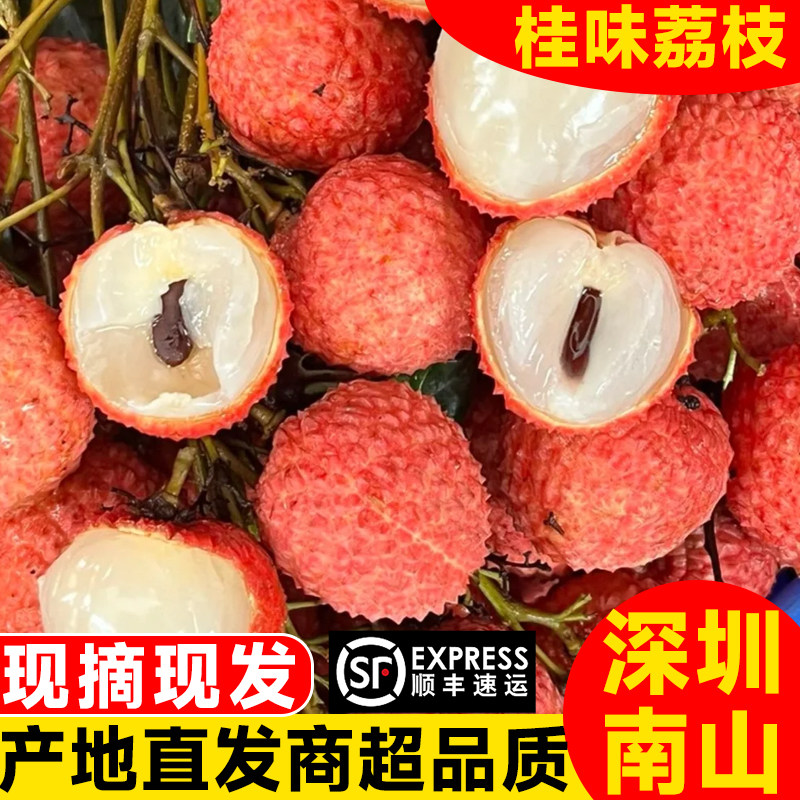 顺丰空运冷链深圳南山核心产区老树桂味荔枝新鲜现摘5斤净重包邮