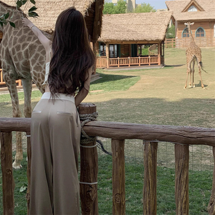 流光哑光缎面裤 新款 高腰直筒垂感休闲裤 女薄款 子 樊樊同款 裤 夏季