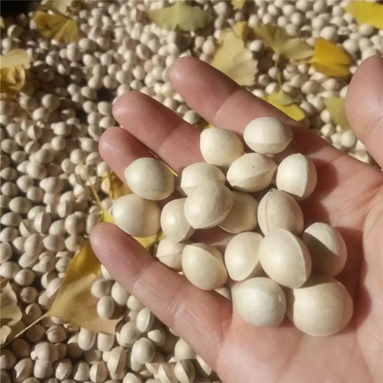 云南腾冲银杏村 银杏果白果500克饱满自然晒干正宗原味生果糯白果