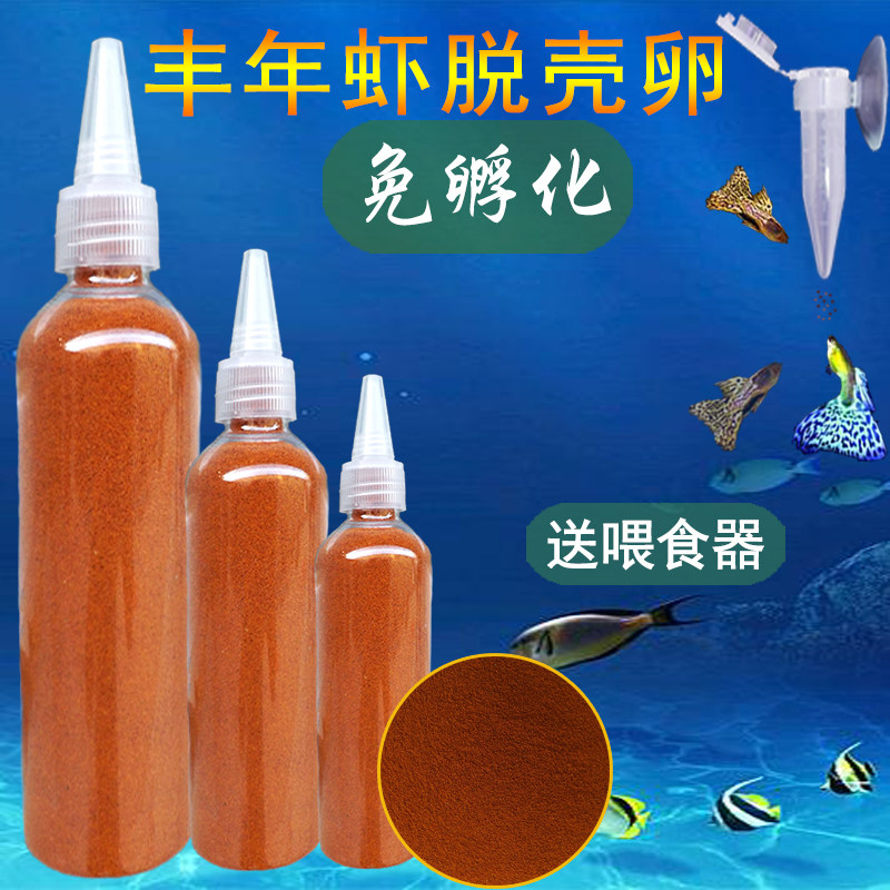 大红卵小型鱼开口丰年虾