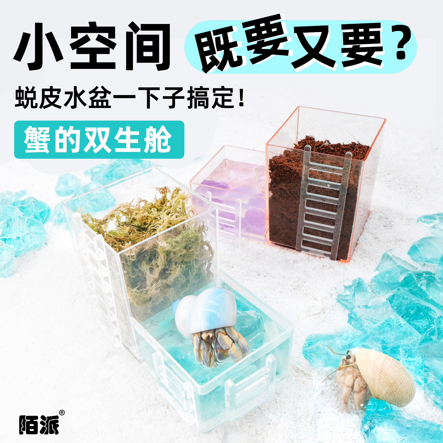 寄居蟹蜕皮桶水盆二合一套装～小号科学区物理隔离缸活体孵化盒