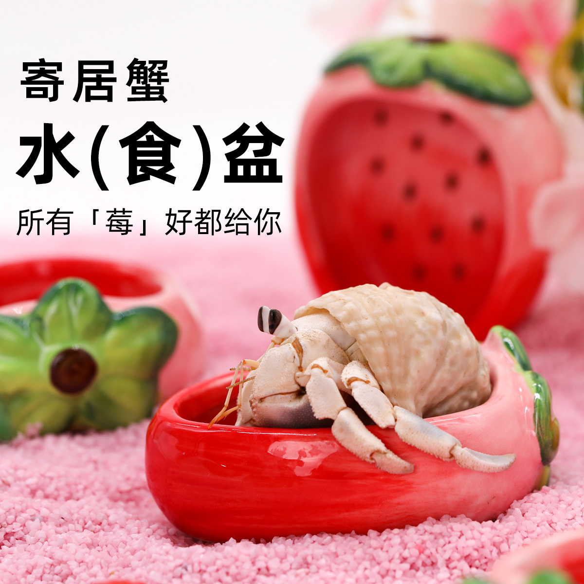 寄居蟹水盆食盆～淡水盆海水盆手绘草莓陶瓷盆防倾倒可爱造景