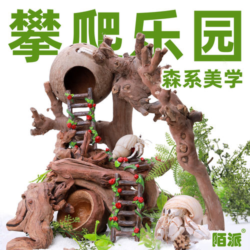 寄居蟹玫瑰攀爬梯子～多风格森系雨林爬梯百搭造景水盆蜕皮桶搭档