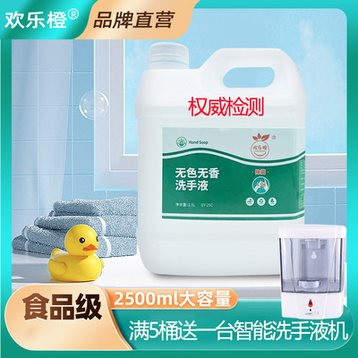 欢乐橙食品厂清洁无色无香洗手液