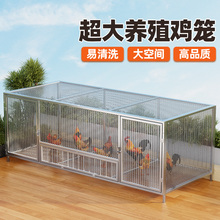 方管鸡笼子家用特大号室外农村家用室内折叠鸡舍铁丝网养殖笼鸭鹅