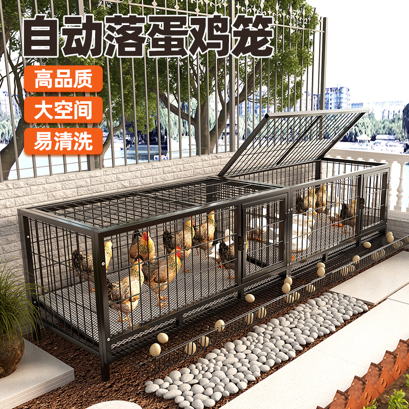 自动收集蛋托鸡笼方便拿蛋