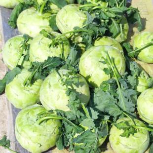 青苤兰特菜甘蓝头芥兰头大头菜青苤新鲜蔬菜5斤包邮不含偏远