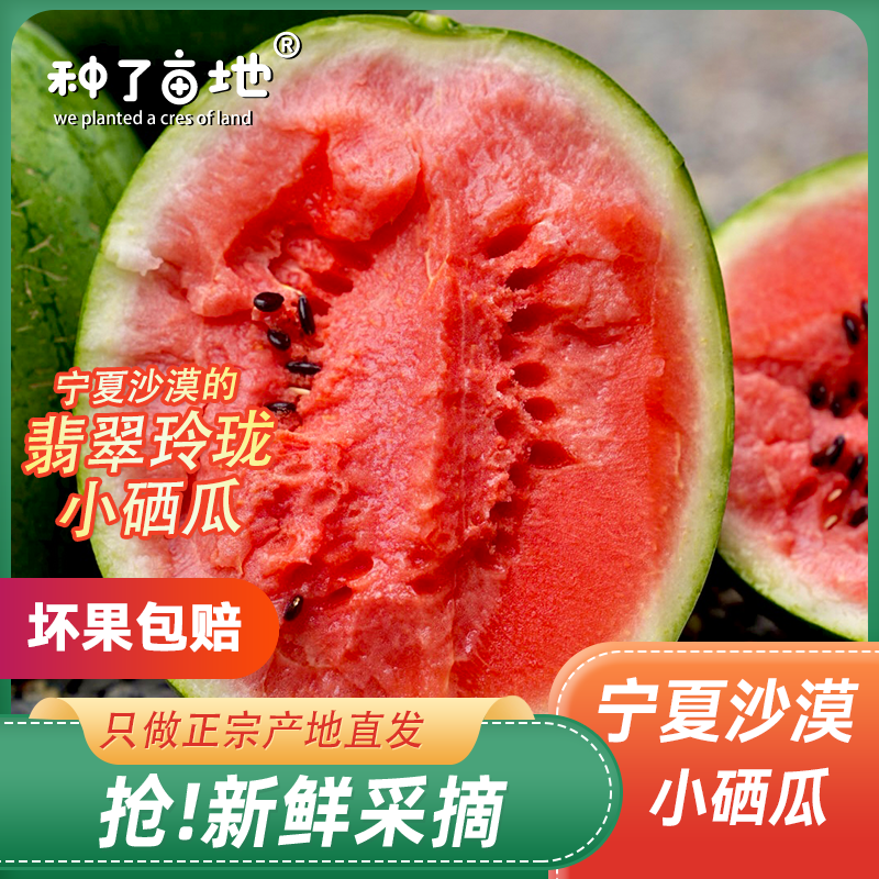 【飞机空运】翡翠玲珑小西瓜宁夏西瓜产地自然成熟正宗压沙麒麟水