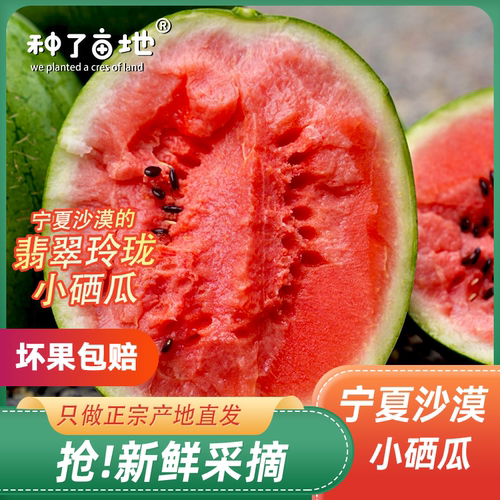 【飞机空运】翡翠玲珑小西瓜宁夏西瓜产地自然成熟正宗压沙麒麟水