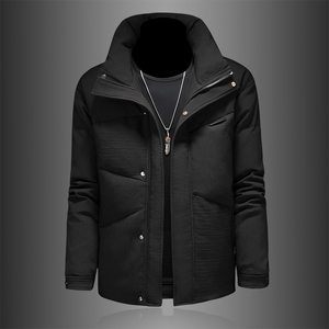 2024冬装新品男士白鸭绒羽绒服 D260-9881P215图片