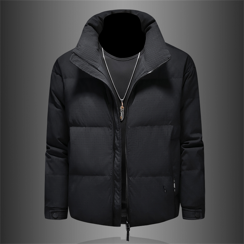 2025冬装新款男士立领羽绒服新标90白鸭绒外套2510p295,男装羽绒服,电商D260 2025冬装新款男士立领羽绒服新标90白鸭绒外套2510p295,男装羽绒服,电商D260