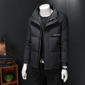 2024新品冬季男士立领白鸭绒羽绒服 D260-8601P195图片
