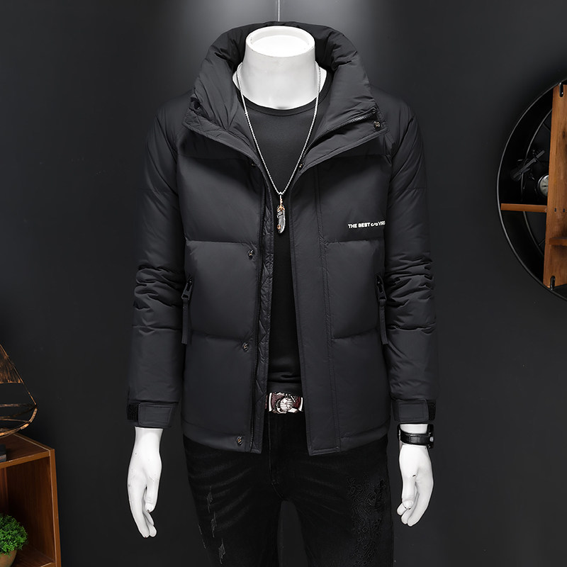 2024新品冬季男士立领白鸭绒羽绒服 D260-8601P195图片