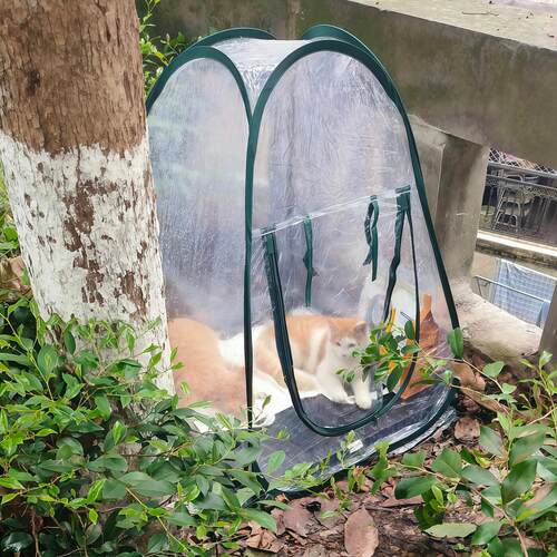 不怕雨淋了！流浪猫防雨猫窝户外防寒四季通用遮雨帐篷可折叠便携