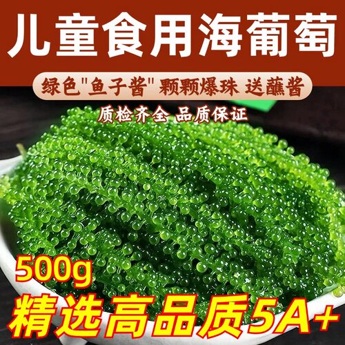 盐渍海葡萄蔬菜植物界
