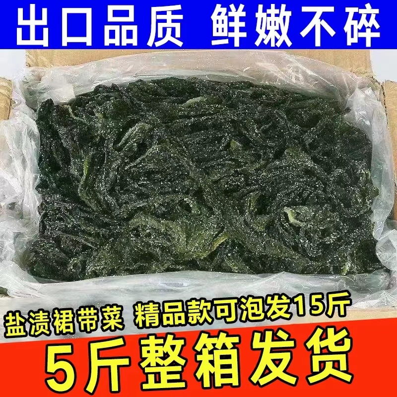 新鲜盐渍裙带菜海白菜