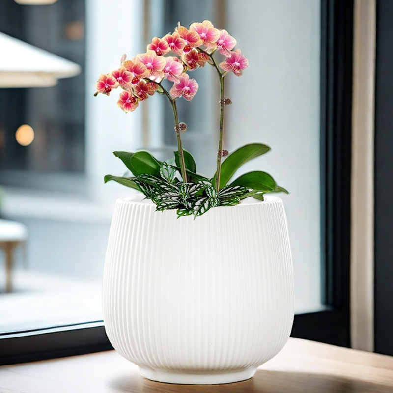 陶瓷花盆轻奢感家用客厅