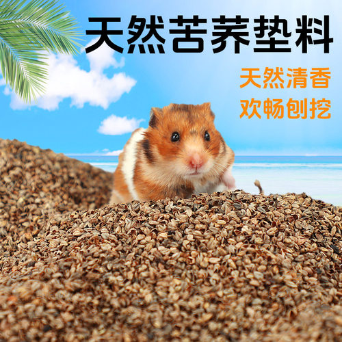 仓鼠金丝熊苦荞麦控糖保健