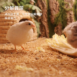 发酵床核桃砂稻糠杨绒木丝木片仓鼠柯尔鸭鹦鹉金丝熊除臭天然