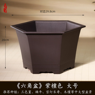 六角花盆家用大口径无花果树盆海棠盆景盆高颜值仿紫砂树脂盆