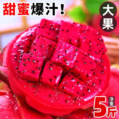 新鲜红心火龙果树上熟现摘金都5斤红肉火龙果当季水果整箱5斤净重