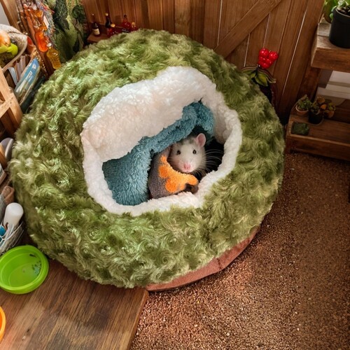 冬季仓鼠躲避屋花枝鼠金丝熊保暖棉窝加棉加厚大空间小宠过冬睡窝