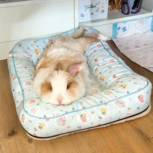 宠物兔子窝夏季垫子四季通用兔兔趴趴垫加厚睡觉用的防水睡垫