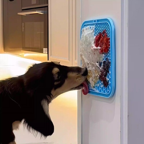 狗狗舔舔盘带吸盘防打翻慢食碗消耗精力舔食垫防噎可冷冻易清洗