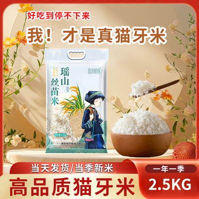 瑶山丝苗米2025新米长粒香大米正宗猫牙米煲仔饭专用南方籼米真空