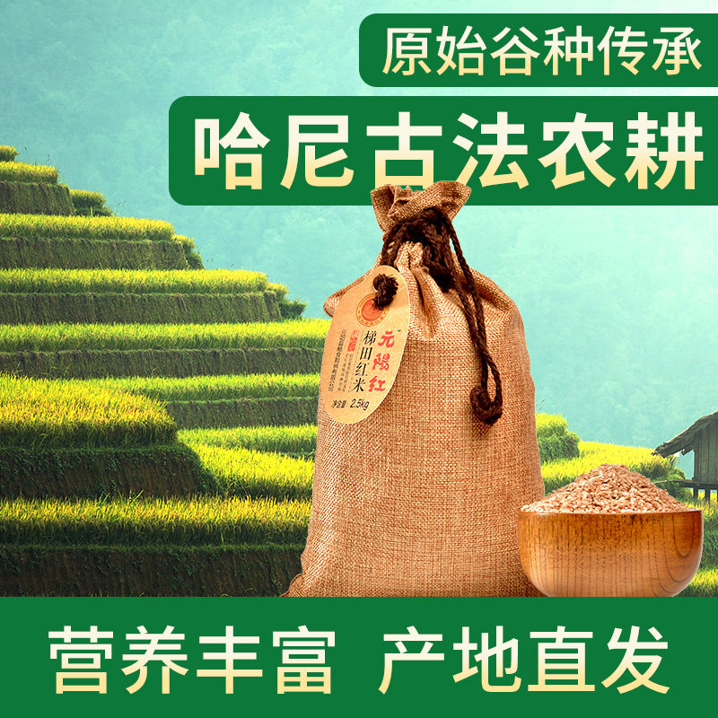 云南元阳红米新米大米红糙米粗粮哈尼梯田营养米5斤布袋装,粮油调味/速食/干货/烘焙,糙米,淘宝优惠券,粉丝福利购,淘宝优惠卷