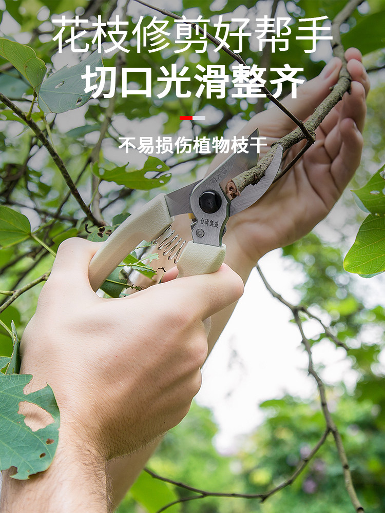 台湾盛大业修剪剪刀园艺剪刀果树花枝省力园艺工具家用枝剪花剪