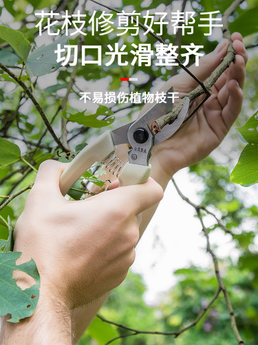 台湾盛大业修剪剪刀园艺剪刀果树花枝省力园艺工具家用枝剪花剪