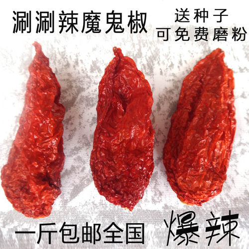 新货1斤包邮云南涮涮魔鬼辣椒