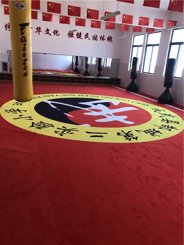 武术跆拳道训练比赛运动地毯 不掉毛掉色 定制尺寸颜色图案LOGO - 实物图