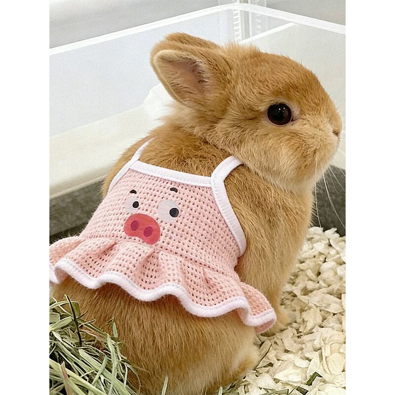 荷兰猪衣服夏季背心侏儒兔豚鼠龙猫裙子宠物外出拍照兔兔专用衣服