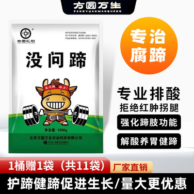 官方正品汇创问蹄牛羊反刍