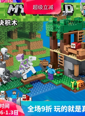 中国积木我的世界21146骷髅攻袭竞技场儿童益智拼装玩具礼物10989