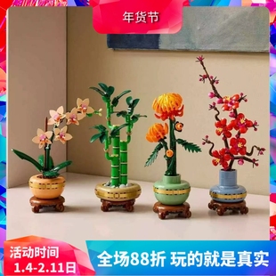 中国积木10343典雅兰10344富贵竹10368黄金菊10369傲骨梅拼装玩具