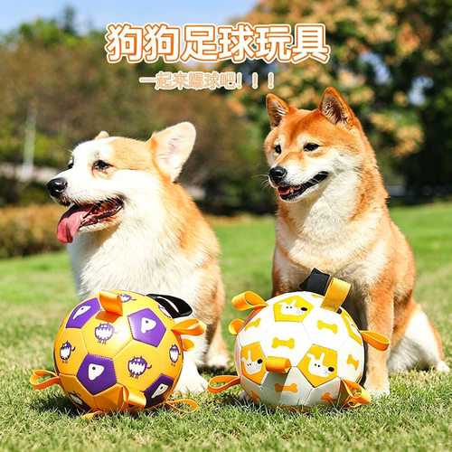 大型犬解闷ball训练玩具球边牧耐新款宠物狗玩具专用dog拉布拉多
